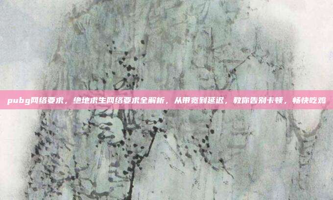 pubg网络要求,绝地求生网络要求全解析,从带宽到延迟,教你告别卡顿,畅快吃鸡