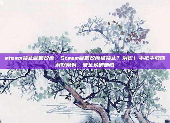 steam禁止邮箱改绑,Steam邮箱改绑被禁止?别慌!手把手教你解除限制,安全换绑邮箱