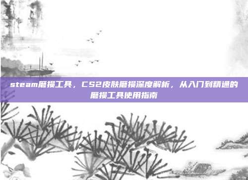 steam磨损工具,CS2皮肤磨损深度解析,从入门到精通的磨损工具使用指南