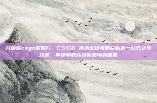 我要看csgo的照片,CS:GO 高清壁纸与精彩截图一站式获取攻略,手把手教你找到最帅的瞬间