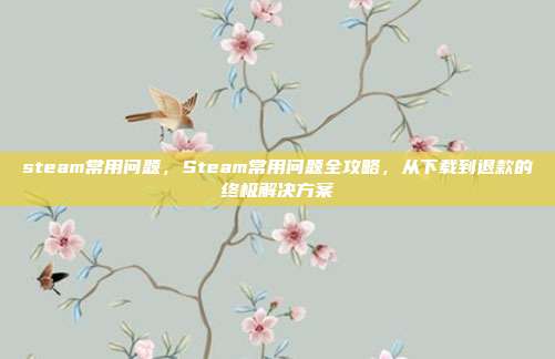 steam常用问题,Steam常用问题全攻略,从下载到退款的终极解决方案