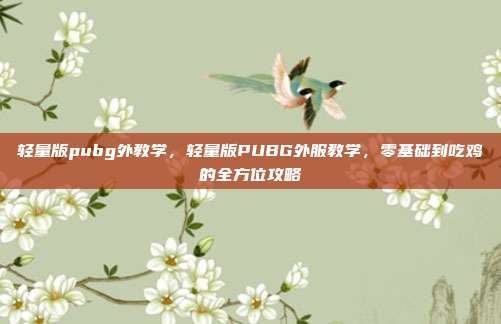 轻量版pubg外教学,轻量版PUBG外服教学,零基础到吃鸡的全方位攻略