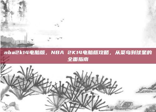 nba2k14电脑版,NBA 2K14电脑版攻略,从菜鸟到球星的全面指南