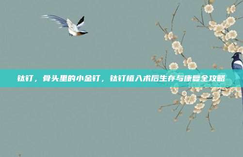 钛钉,骨头里的小金钉,钛钉植入术后生存与康复全攻略