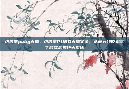 边伯贤pubg直播,边伯贤PUBG直播实录,从爱豆到吃鸡高手的实战技巧大揭秘