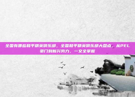 全国有哪些和平精英俱乐部,全国和平精英俱乐部大盘点,从PEL豪门到新兴势力,一文全掌握