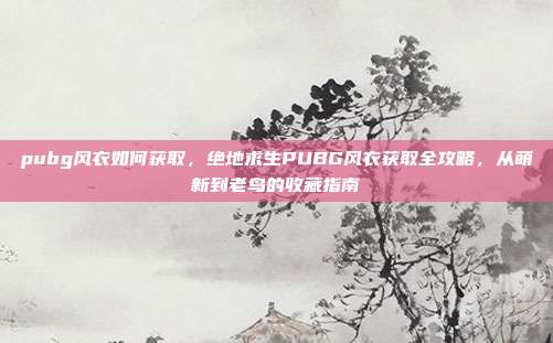 pubg风衣如何获取,绝地求生PUBG风衣获取全攻略,从萌新到老鸟的收藏指南