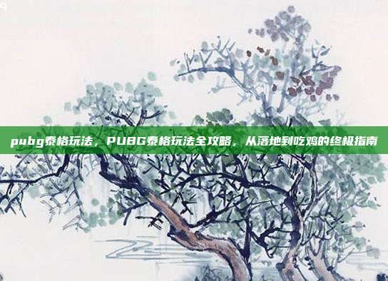 pubg泰格玩法，PUBG泰格玩法全攻略，从落地到吃鸡的终极指南