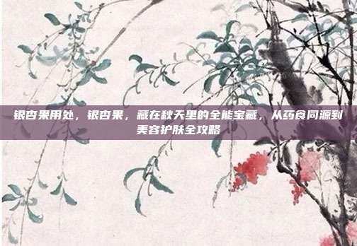银杏果用处,银杏果,藏在秋天里的全能宝藏,从药食同源到美容护肤全攻略