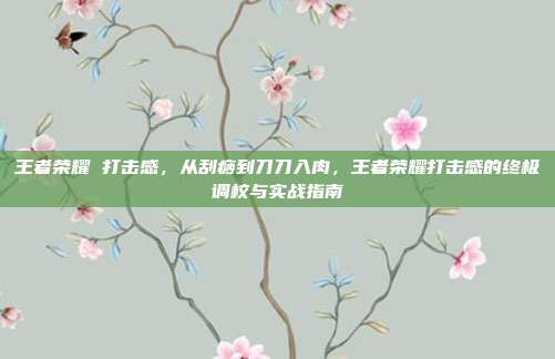 王者荣耀 打击感,从刮痧到刀刀入肉,王者荣耀打击感的终极调校与实战指南