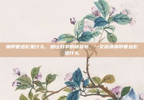 输卵管造影是什么,通往好孕的侦察兵,一文说清输卵管造影是什么