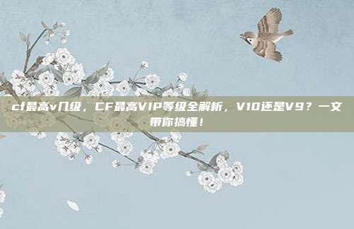 cf最高v几级,CF最高VIP等级全解析,V10还是V9?一文带你搞懂!