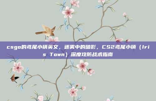 csgo的鸢尾小镇英文,迷雾中的暗影,CS2鸢尾小镇(Iris Town)深度攻防战术指南