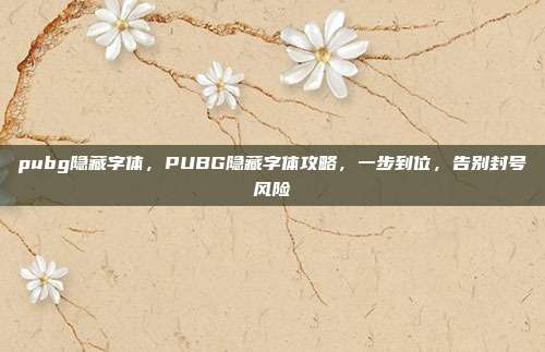 pubg隐藏字体,PUBG隐藏字体攻略,一步到位,告别封号风险