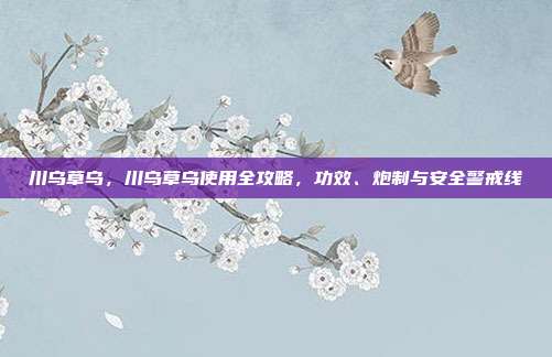 川乌草乌,川乌草乌使用全攻略,功效、炮制与安全警戒线