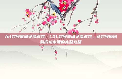 lol封号查询免费解封,LOL封号查询免费解封,从封号原因到成功申诉的完整攻略