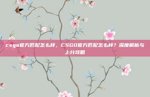 csgo官方匹配怎么样,CSGO官方匹配怎么样?深度解析与上分攻略