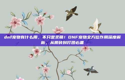 dnf宠物有什么用,不只是卖萌!DNF宠物全方位作用深度解析,从搬砖到打团必备