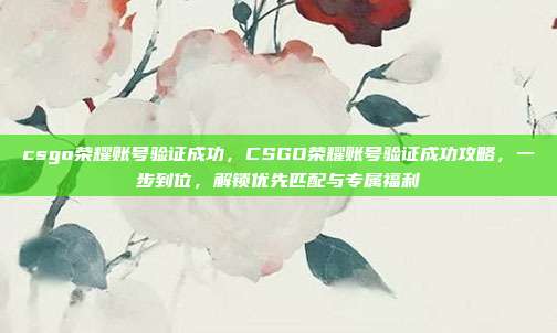 csgo荣耀账号验证成功,CSGO荣耀账号验证成功攻略,一步到位,解锁优先匹配与专属福利