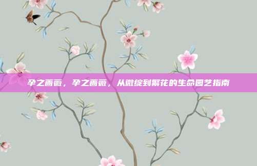 孕之蔷薇,孕之蔷薇,从微绽到繁花的生命园艺指南