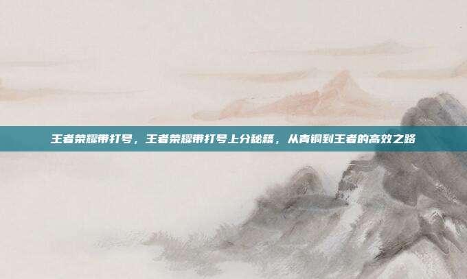 王者荣耀带打号,王者荣耀带打号上分秘籍,从青铜到王者的高效之路