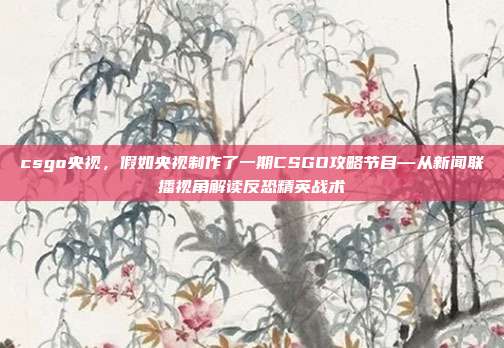 csgo央视,假如央视制作了一期CSGO攻略节目—从新闻联播视角解读反恐精英战术