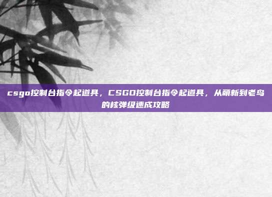 csgo控制台指令起道具,CSGO控制台指令起道具,从萌新到老鸟的核弹级速成攻略