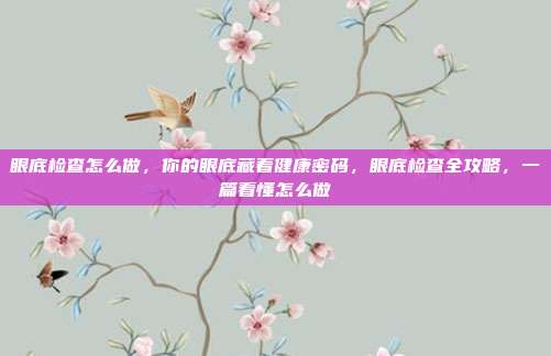 眼底检查怎么做，你的眼底藏着健康密码，眼底检查全攻略，一篇看懂怎么做