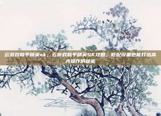 云游戏和平精英sk,云游戏和平精英SK攻略,低配设备也能打出高光操作的秘密