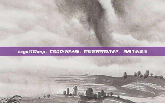 csgo收购awp,CSGO经济大师,如何高效收购AWP,狙击手必修课