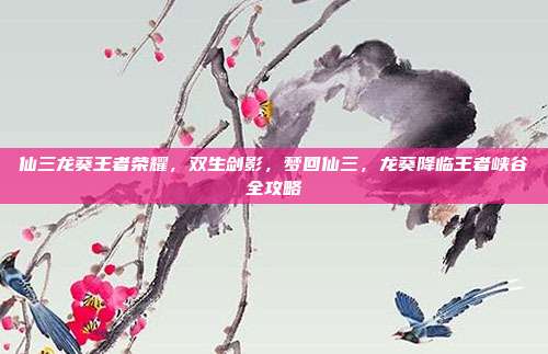 仙三龙葵王者荣耀，双生剑影，梦回仙三，龙葵降临王者峡谷全攻略