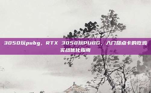 3050玩pubg,RTX 3050玩PUBG,入门甜点卡的吃鸡实战优化指南