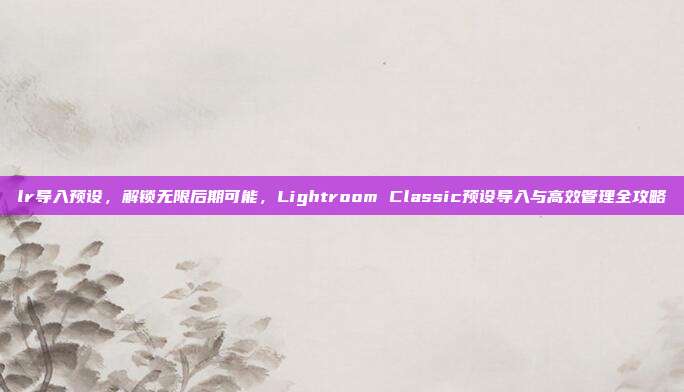 lr导入预设,解锁无限后期可能,Lightroom Classic预设导入与高效管理全攻略