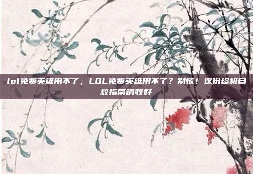 lol免费英雄用不了,LOL免费英雄用不了?别慌!这份终极自救指南请收好