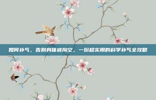如何补气,告别身体被掏空,一份超实用的科学补气全攻略