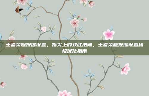 王者荣耀按键设置,指尖上的致胜法则,王者荣耀按键设置终极优化指南