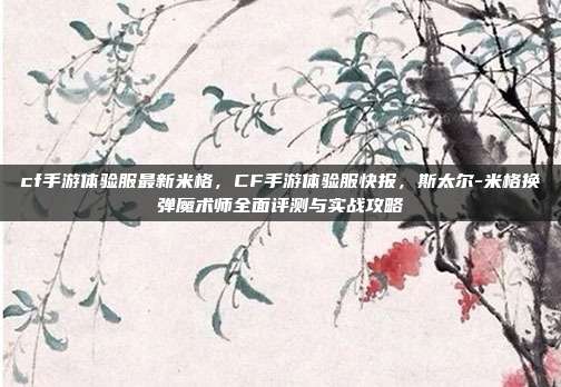 cf手游体验服最新米格，CF手游体验服快报，斯太尔-米格换弹魔术师全面评测与实战攻略