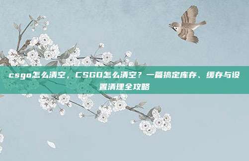 csgo怎么清空，CSGO怎么清空？一篇搞定库存、缓存与设置清理全攻略