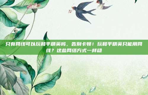 只有网线可以玩和平精英吗,告别卡顿!玩和平精英只能用网线?这些网络方式一样稳