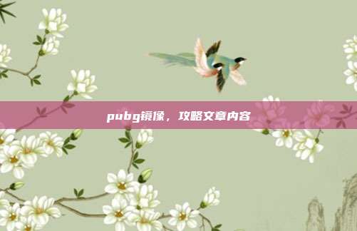 pubg镜像,攻略文章内容