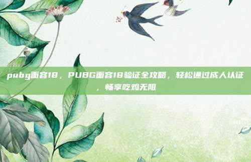 pubg面容18,PUBG面容18验证全攻略,轻松通过成人认证,畅享吃鸡无阻