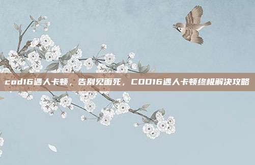 cod16遇人卡顿，告别见面死，COD16遇人卡顿终极解决攻略