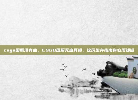csgo国服没有血,CSGO国服无血真相,这份生存指南你必须知道