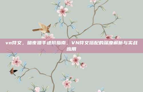 vn符文,暗夜猎手进阶指南,VN符文搭配的深度解析与实战应用