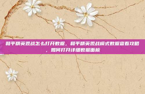 和平精英观战怎么打开数据,和平精英观战模式数据查看攻略,如何打开详细数据面板