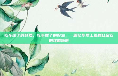 吃车厘子的好处,吃车厘子的好处,一篇让你爱上这颗红宝石的攻略指南