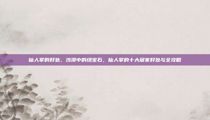 仙人掌的好处，沙漠中的绿宝石，仙人掌的十大居家好处与全攻略