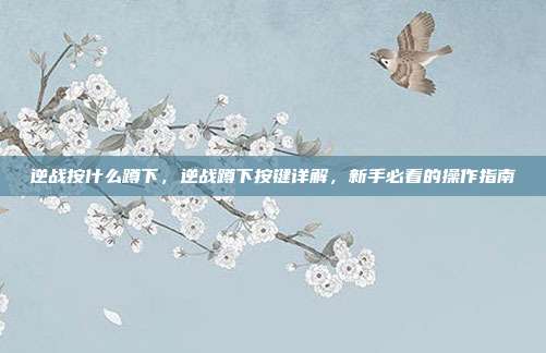 逆战按什么蹲下,逆战蹲下按键详解,新手必看的操作指南