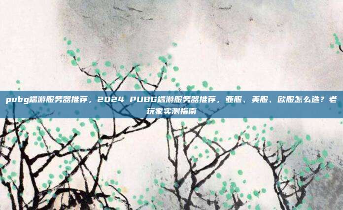 pubg端游服务器推荐,2024 PUBG端游服务器推荐,亚服、美服、欧服怎么选?老玩家实测指南