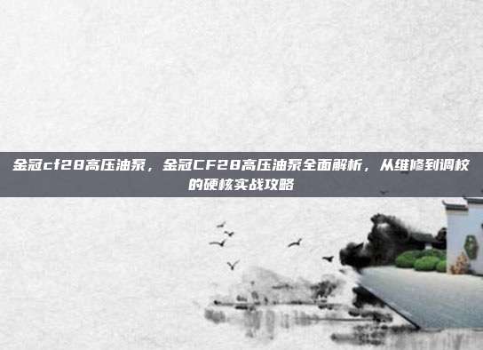 金冠cf28高压油泵，金冠CF28高压油泵全面解析，从维修到调校的硬核实战攻略